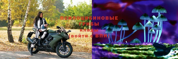 крисы Алексин