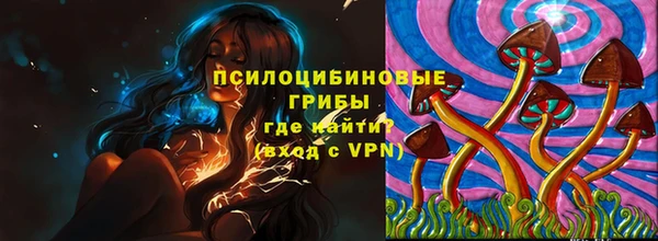 крисы Алексин