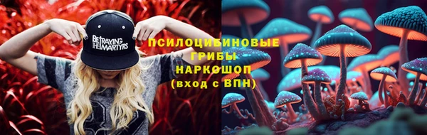 скорость Алзамай